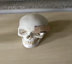 image001.png